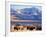 Bison above Great Salt Lake, Antelope Island State Park, Utah, USA-Scott T. Smith-Framed Photographic Print