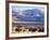 Bison above Great Salt Lake, Antelope Island State Park, Utah, USA-Scott T. Smith-Framed Photographic Print