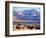 Bison above Great Salt Lake, Antelope Island State Park, Utah, USA-Scott T. Smith-Framed Photographic Print