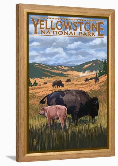 Bison and Calf Grazing - Yellowstone National Park-Lantern Press-Framed Stretched Canvas