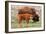 Bison and Calf-Lantern Press-Framed Premium Giclee Print