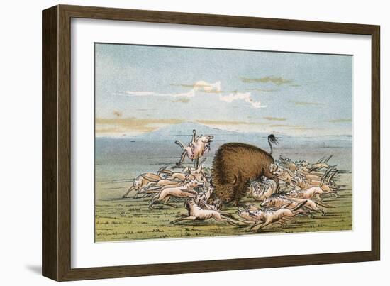 Bison and Coyotes-George Catlin-Framed Art Print