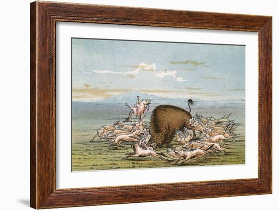 Bison and Coyotes-George Catlin-Framed Art Print