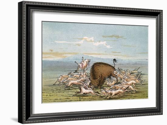 Bison and Coyotes-George Catlin-Framed Art Print