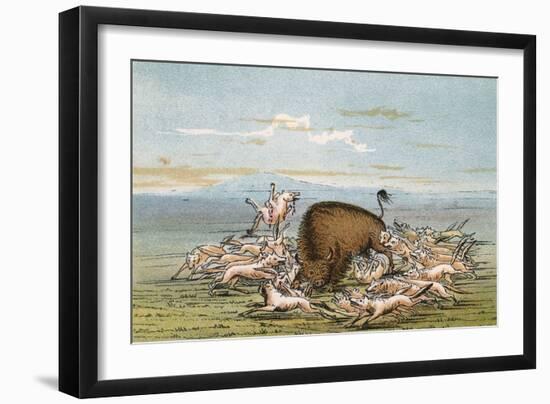 Bison and Coyotes-George Catlin-Framed Premium Giclee Print