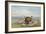 Bison and Coyotes-George Catlin-Framed Premium Giclee Print