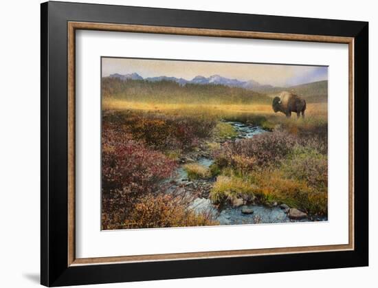 Bison and Creek-Chris Vest-Framed Art Print