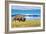 Bison and Lake-Lantern Press-Framed Premium Giclee Print