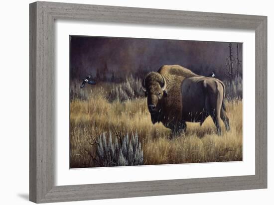 Bison and Magpies-Wilhelm Goebel-Framed Giclee Print