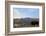 Bison and Mount Washburn in Early Morning Light, Yellowstone Nat'l Park, UNESCO Site, Wyoming, USA-Peter Barritt-Framed Photographic Print