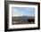 Bison and Mount Washburn in Early Morning Light, Yellowstone Nat'l Park, UNESCO Site, Wyoming, USA-Peter Barritt-Framed Photographic Print