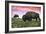 Bison and Sunset-Lantern Press-Framed Premium Giclee Print