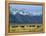 Bison and the Teton Range, Grand Teton National Park, Wyoming, USA-Jean Brooks-Framed Premier Image Canvas