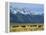 Bison and the Teton Range, Grand Teton National Park, Wyoming, USA-Jean Brooks-Framed Premier Image Canvas