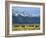 Bison and the Teton Range, Grand Teton National Park, Wyoming, USA-Jean Brooks-Framed Photographic Print