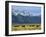 Bison and the Teton Range, Grand Teton National Park, Wyoming, USA-Jean Brooks-Framed Photographic Print