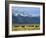 Bison and the Teton Range, Grand Teton National Park, Wyoming, USA-Jean Brooks-Framed Photographic Print