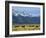 Bison and the Teton Range, Grand Teton National Park, Wyoming, USA-Jean Brooks-Framed Photographic Print