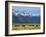 Bison and the Teton Range, Grand Teton National Park, Wyoming, USA-Jean Brooks-Framed Photographic Print