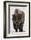 Bison (Bison Bison) Bull Covered with Frost in the Winter-James Hager-Framed Photographic Print