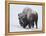 Bison (Bison Bison) Bull Covered with Snow in the Winter-James Hager-Framed Premier Image Canvas