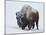 Bison (Bison Bison) Bull Covered with Snow in the Winter-James Hager-Mounted Photographic Print