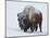 Bison (Bison Bison) Bull Covered with Snow in the Winter-James Hager-Mounted Photographic Print