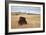 Bison (Bison Bison) Bull, Custer State Park, South Dakota, United States of America, North America-James Hager-Framed Photographic Print