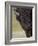 Bison (Bison Bison) Bull, Yellowstone National Park, Wyoming, USA, North America-James Hager-Framed Photographic Print