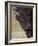 Bison (Bison Bison) Bull, Yellowstone National Park, Wyoming, USA, North America-James Hager-Framed Photographic Print