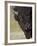 Bison (Bison Bison) Bull, Yellowstone National Park, Wyoming, USA, North America-James Hager-Framed Photographic Print