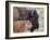 Bison (Bison Bison) Calf in Front of its Mother, Yellowstone National Park, Wyoming, USA-James Hager-Framed Photographic Print