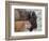 Bison (Bison Bison) Calf in Front of its Mother, Yellowstone National Park, Wyoming, USA-James Hager-Framed Photographic Print