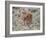 Bison (Bison Bison) Calf, Yellowstone National Park, Wyoming, USA, North America-James Hager-Framed Photographic Print