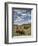 Bison (Bison Bison) Cows Grazing, Yellowstone Nat'l Park, UNESCO World Heritage Site, Wyoming, USA-James Hager-Framed Photographic Print