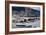 Bison (Bison Bison) Cows in the Snow with Frost-Covered Trees in the Winter-James Hager-Framed Photographic Print