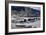 Bison (Bison Bison) Cows in the Snow with Frost-Covered Trees in the Winter-James Hager-Framed Photographic Print