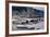 Bison (Bison Bison) Cows in the Snow with Frost-Covered Trees in the Winter-James Hager-Framed Photographic Print