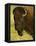 Bison Bull at the National Bison Range, Montana, USA-Chuck Haney-Framed Premier Image Canvas