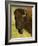 Bison Bull at the National Bison Range, Montana, USA-Chuck Haney-Framed Photographic Print