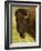 Bison Bull at the National Bison Range, Montana, USA-Chuck Haney-Framed Photographic Print