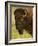 Bison Bull at the National Bison Range, Montana, USA-Chuck Haney-Framed Photographic Print