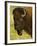 Bison Bull at the National Bison Range, Montana, USA-Chuck Haney-Framed Photographic Print