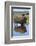 Bison Bull Reflecting-Ken Archer-Framed Photographic Print