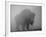 Bison, Bull Silhouetted in Dawn Mist, Yellowstone National Park, USA-Pete Cairns-Framed Photographic Print