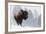 Bison Bull, Winter Storm-Ken Archer-Framed Photographic Print