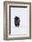 Bison Bull-Ken Archer-Framed Photographic Print