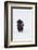 Bison Bull-Ken Archer-Framed Photographic Print