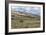 Bison by Electric Peak (YNP)-Galloimages Online-Framed Photographic Print