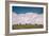 Bison Cloudscape, Yellowstone National Park, Wyoming-null-Framed Photographic Print